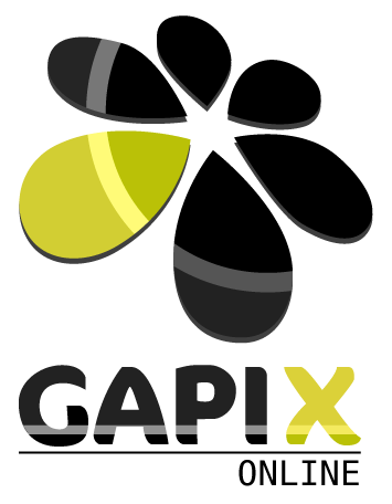 GapiX Agent - Program dla agencji ubezpieczeniowej